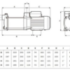 BOMBA DE PRESION PRISMA25-5M 230 50 000016/STD - Imagen 2