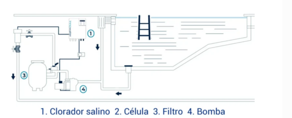 Clorador salino SMC - Imagen 2